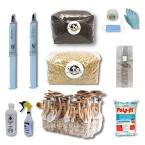 Mushroom starter kit all items
