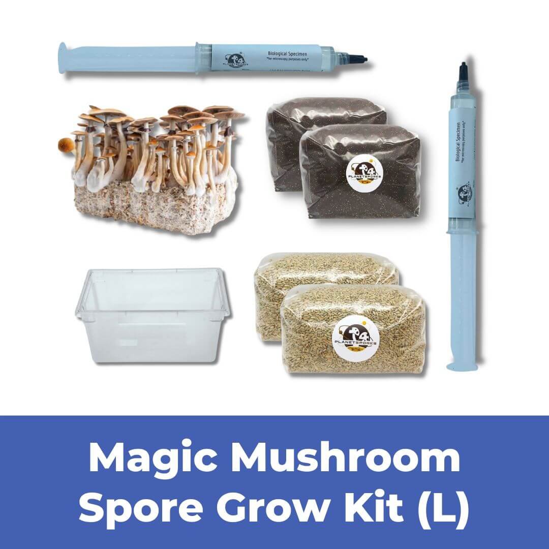 Grow Kit Funnel - Magic Mushroom Spore Grow Kit (L)