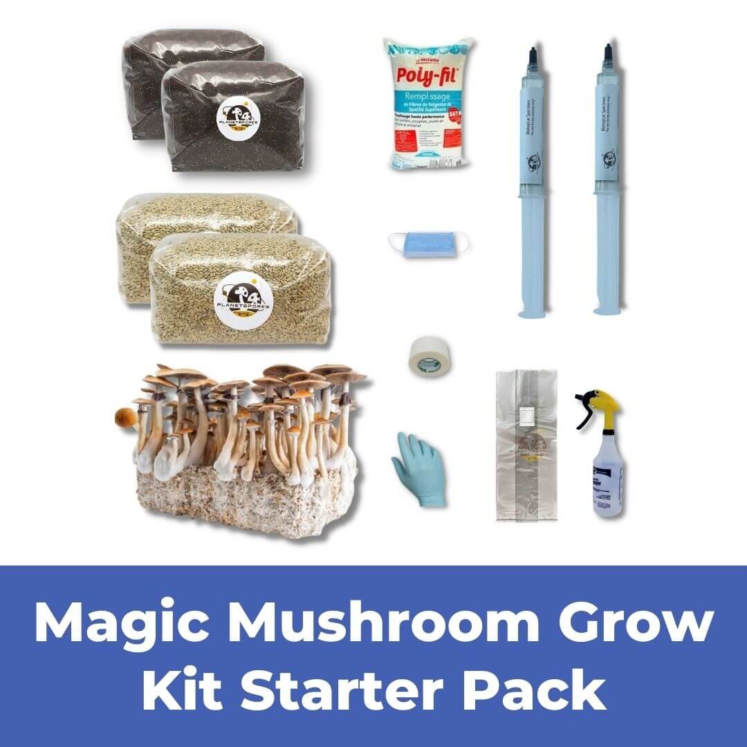 Grow Kit Funnel - Mushroom Starter Grow Kit