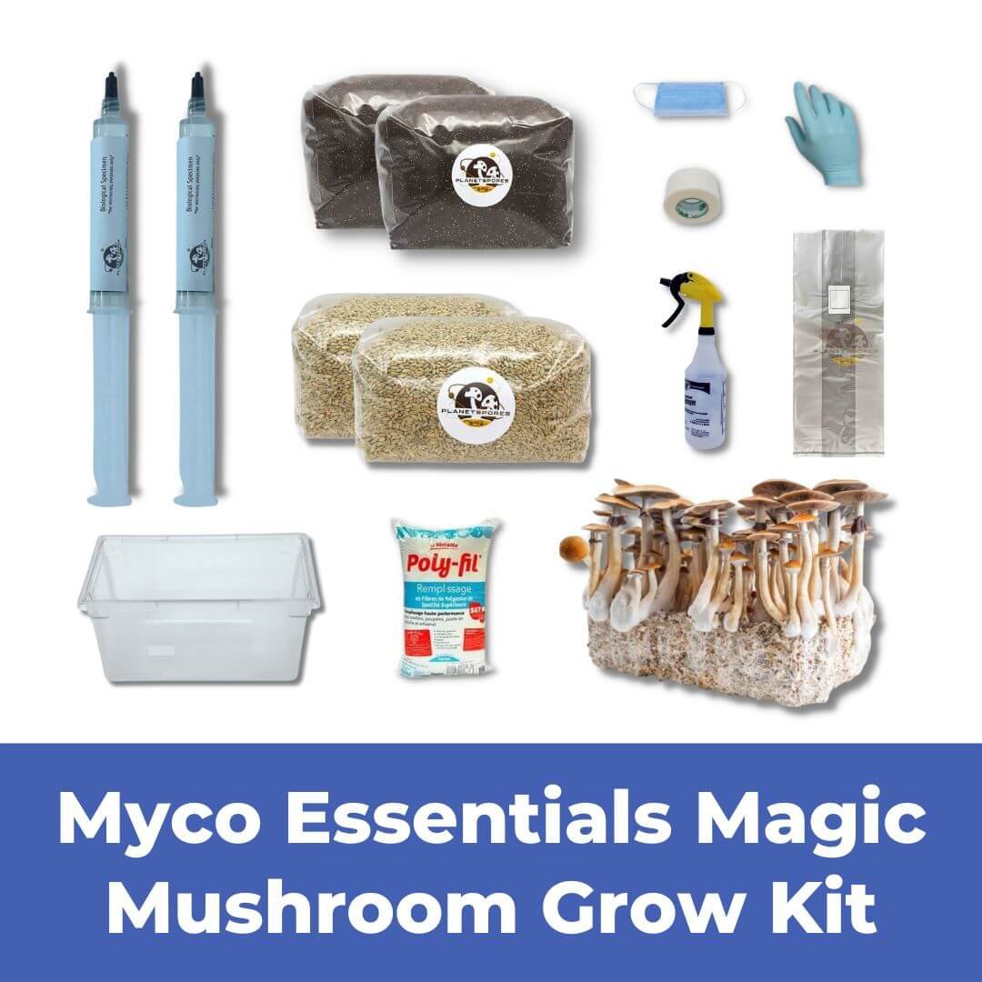 Grow Kit Funnel - Myco Essentials Magic Mushroom Grow Kit