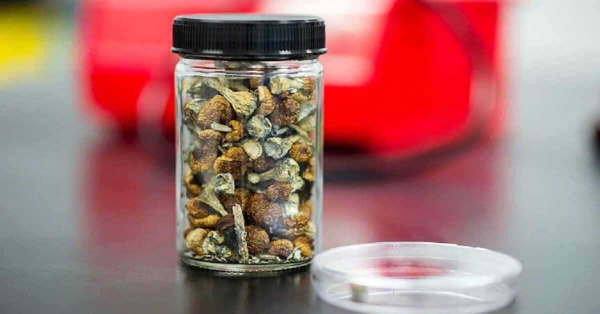 The best method of storing magic mushrooms
