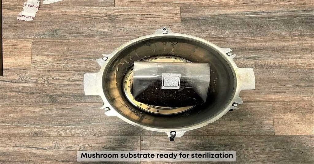 Mushroom substrate ready for sterilization