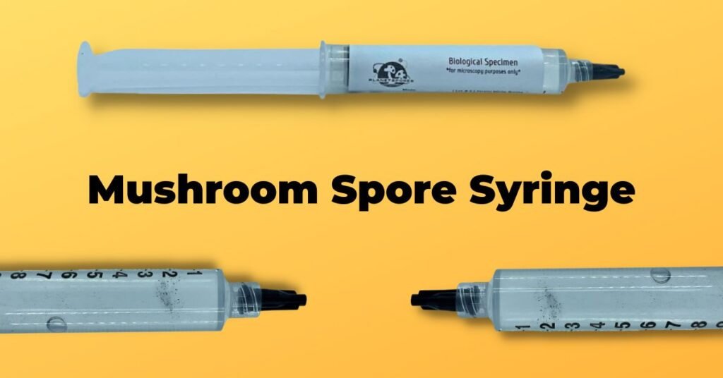 What is a spore syringe