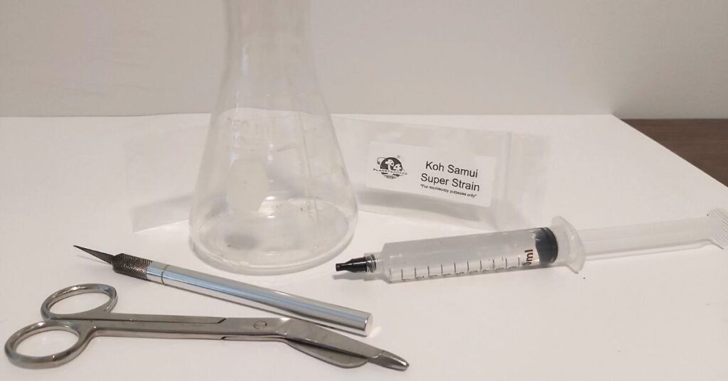 tools to make a spore syringe