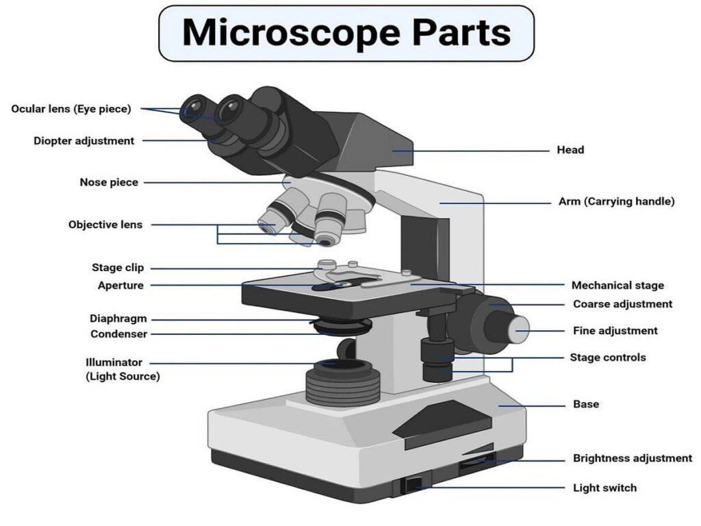 Microscope parts