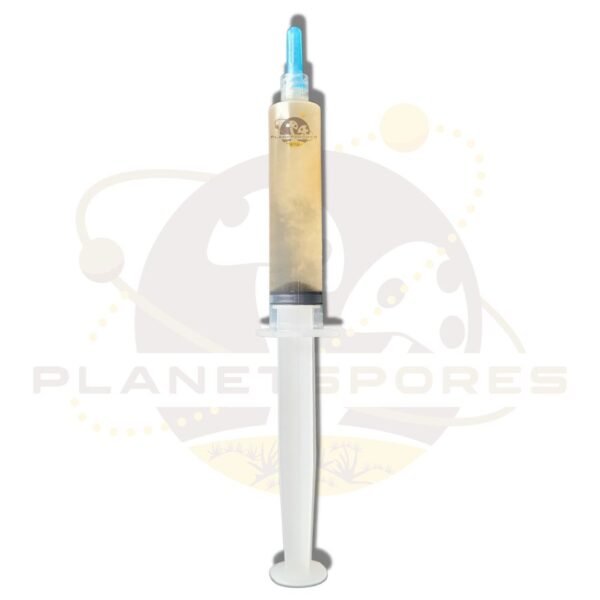 Planet Spores Full length Lions Blue Oyster Culture Syringe