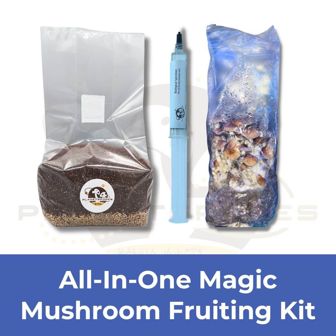 Grow Kit Funnel - All-In-One Rye Mushroom Fruiting Bag