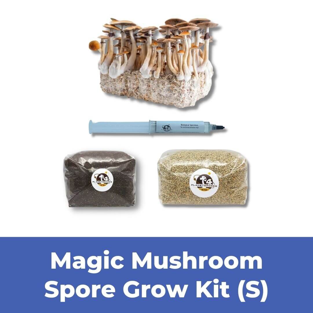 Grow Kit Funnel - Magic Mushroom Spore Grow Kit (S)