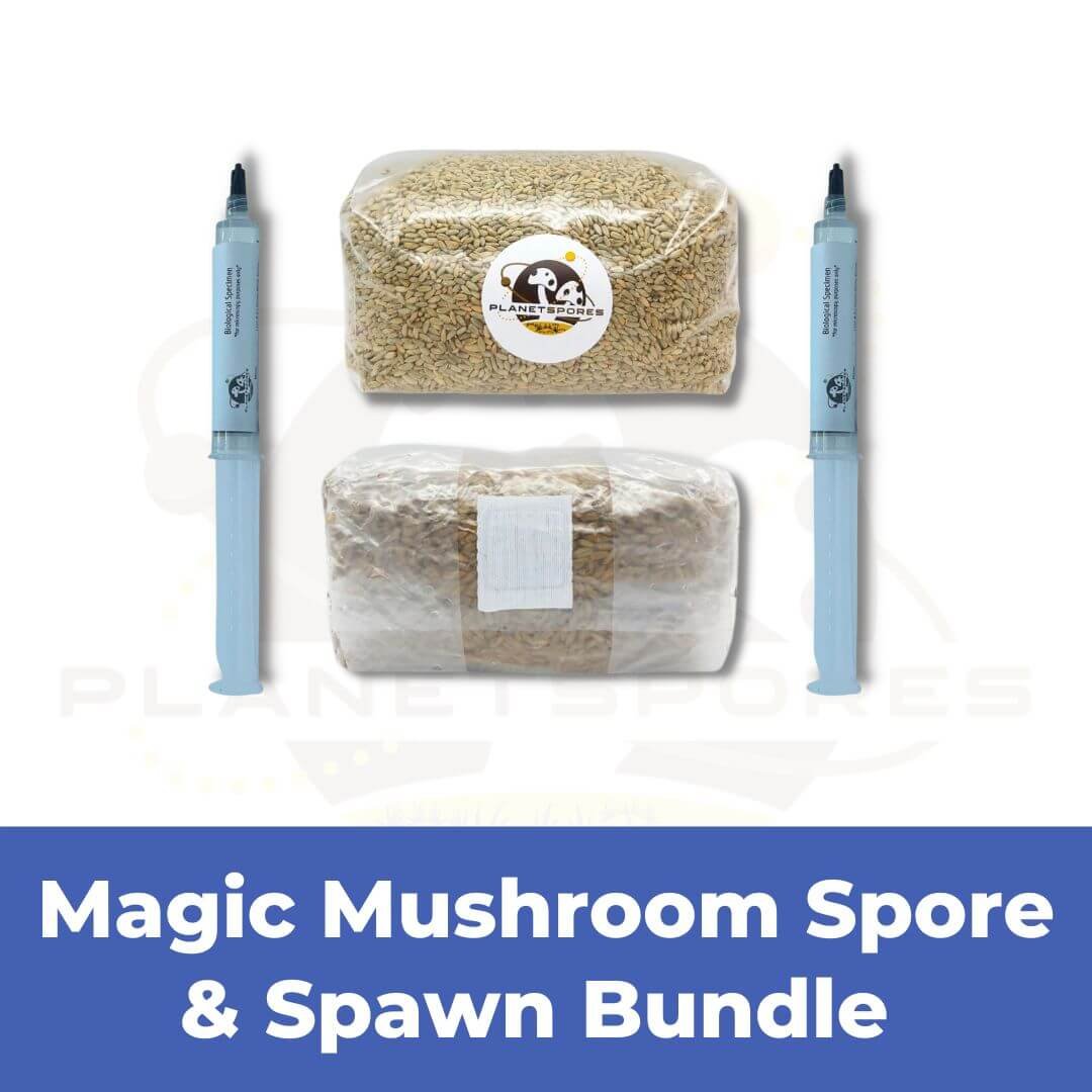 Grow Kit Funnel - Rye Spawn & Spore Syringe Bundle