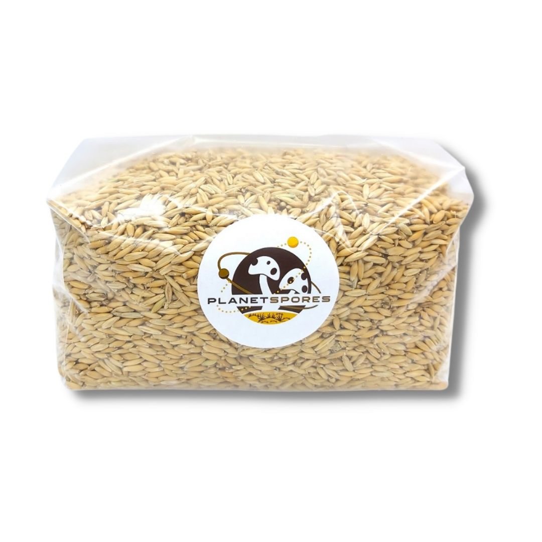 Oat for spawn and spore bundle