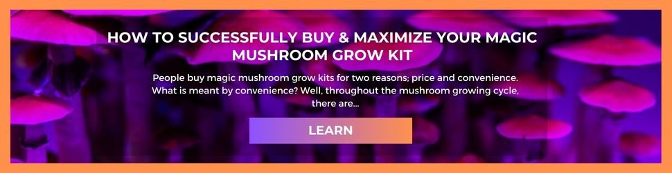 Blog-banner-desktop-grow-kit-guide