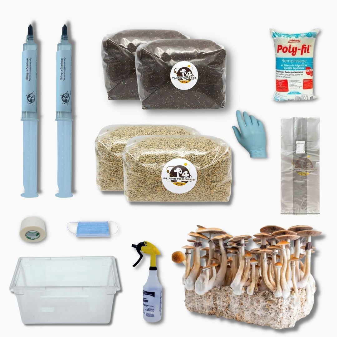 Myco essentials magic mushroom grow kit (grey)