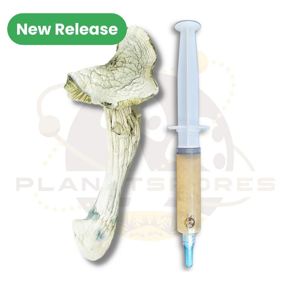 Avery Albino magic mushroom liquid culture syringe - New release